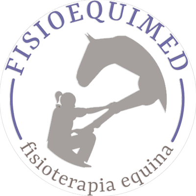 Logo Fisioequimed